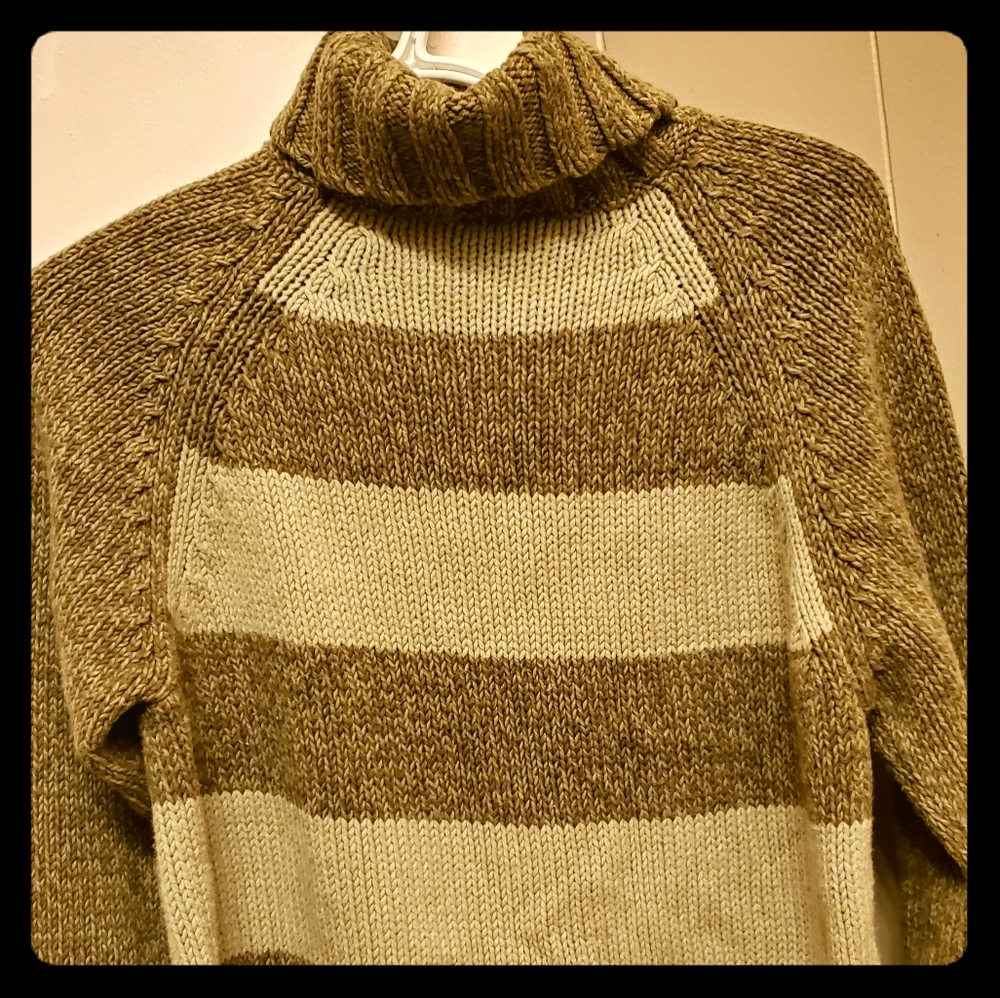 Dark green and tan sweater